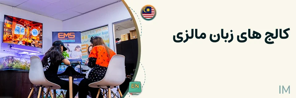 Malaysian language colleges